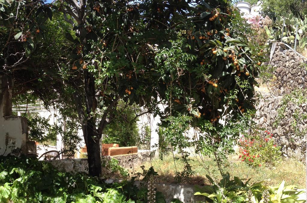 Casa Del Caminero En Séjour à la campagne Tejeda (Gran Canaria)